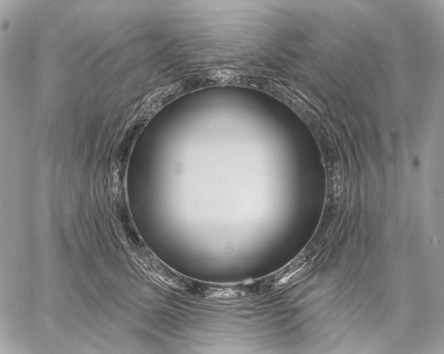 X0000058770611200510211724