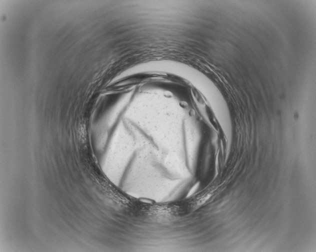 X0000058770613200510211724
