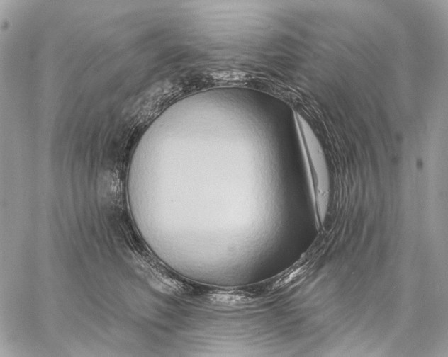 X0000058770614200510211724