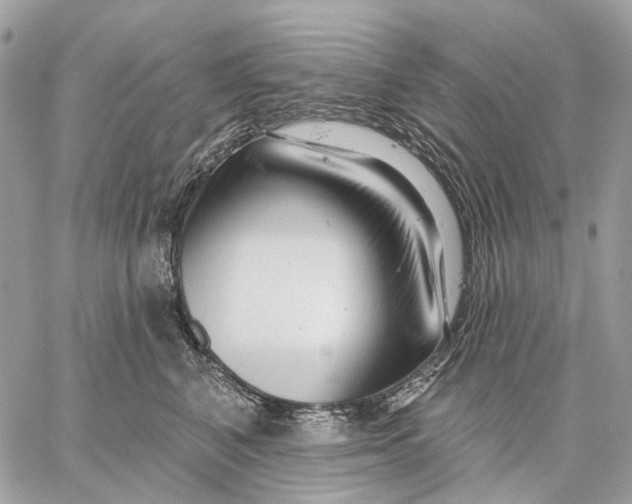 X0000058770616200510211724