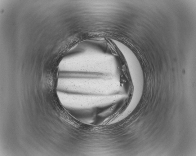X0000058770617200510211724