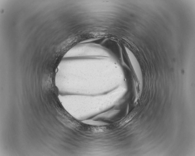 X0000058770618200510211724