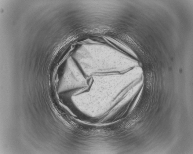X0000058770634200510211724