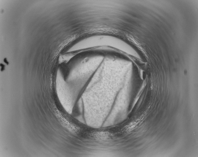 X0000058770637200510211724