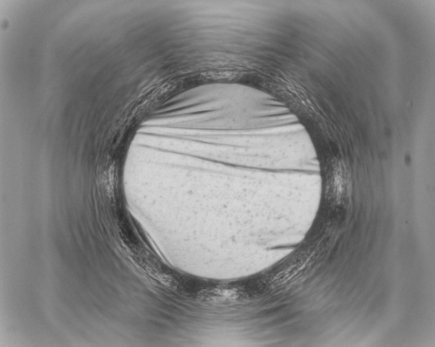 X0000058770647200510211724