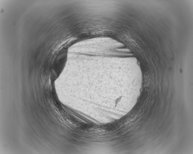 X0000058770648200510211724