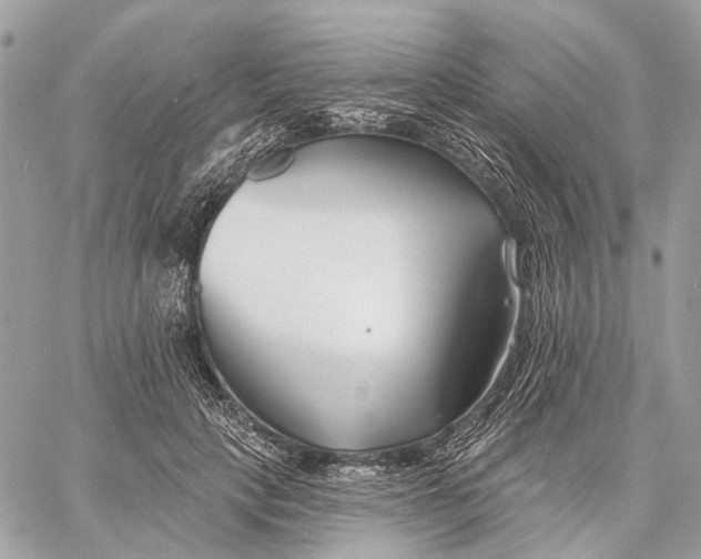 X0000058770649200510211724
