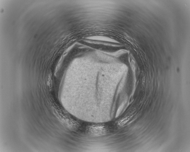 X0000058770651200510211724