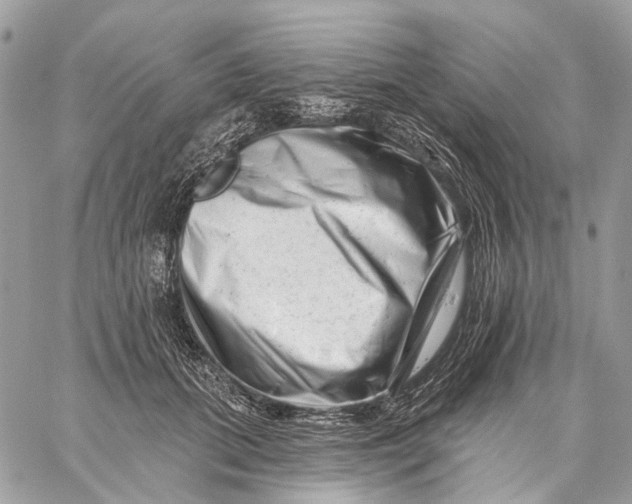 X0000058770655200510211724