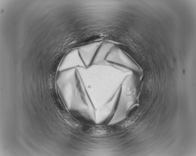 X0000058770658200510211724