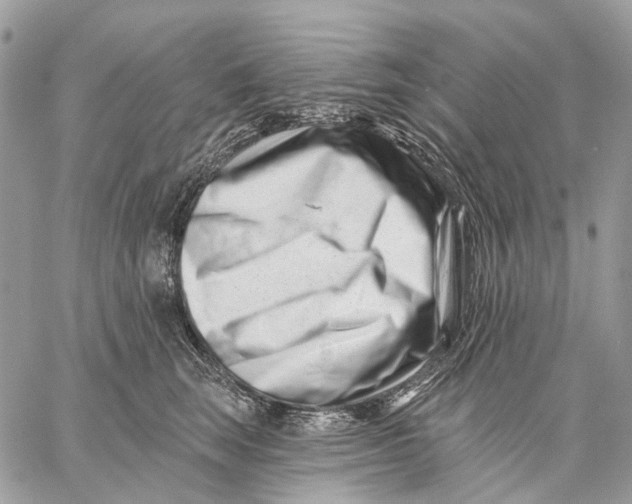 X0000058770663200510211724