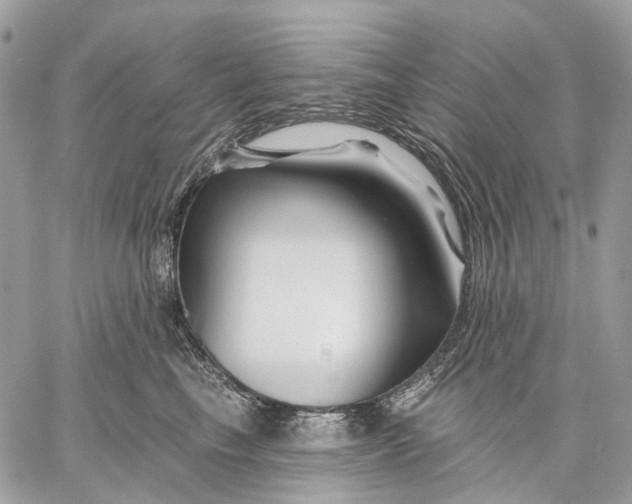 X0000058770665200510211724