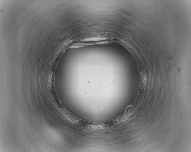 X0000058770668200510211724
