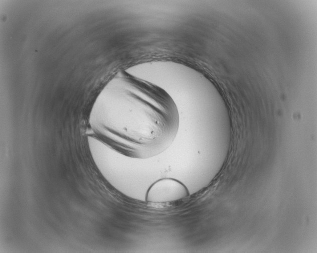 X0000058770672200510211724