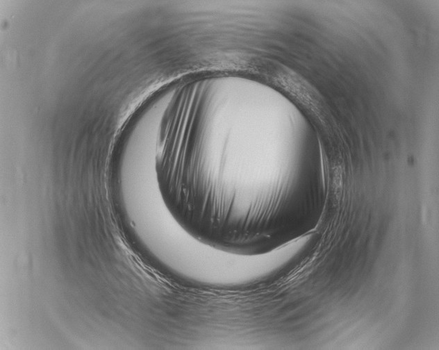 X0000058770676200510211723