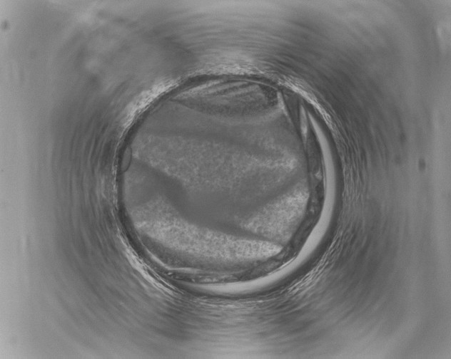 X0000058770677200510211723