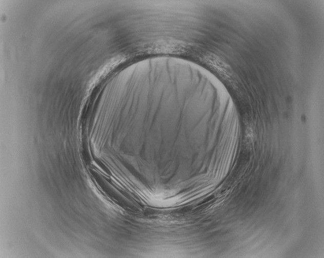 X0000058770678200510211723