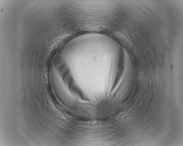 X0000058770688200510211723