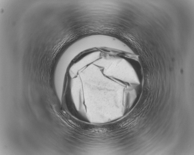 X0000058770691200510211723