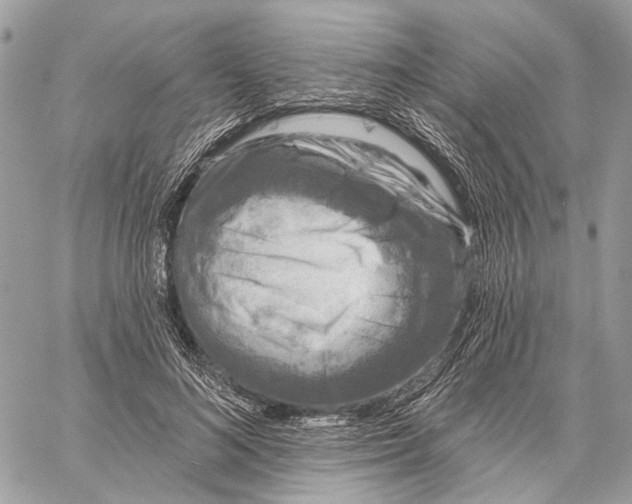 X0000058770692200510211723