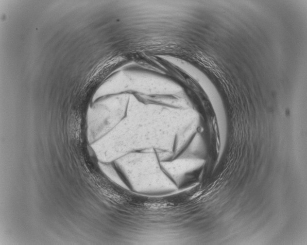 X0000058770693200510211723