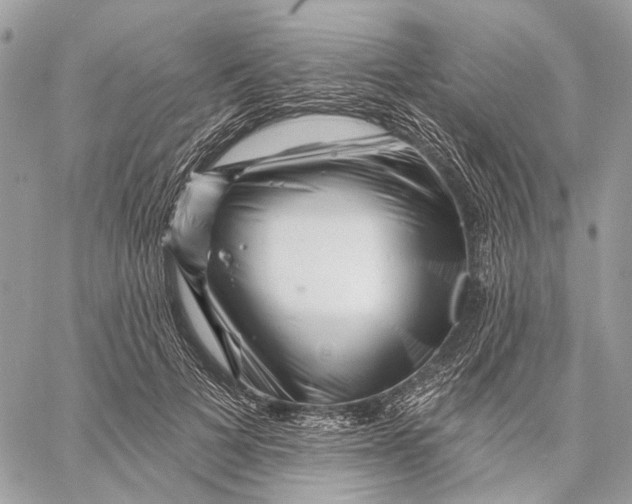 X0000058770697200510211723