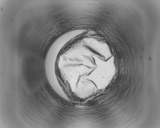 X0000058770699200510211723