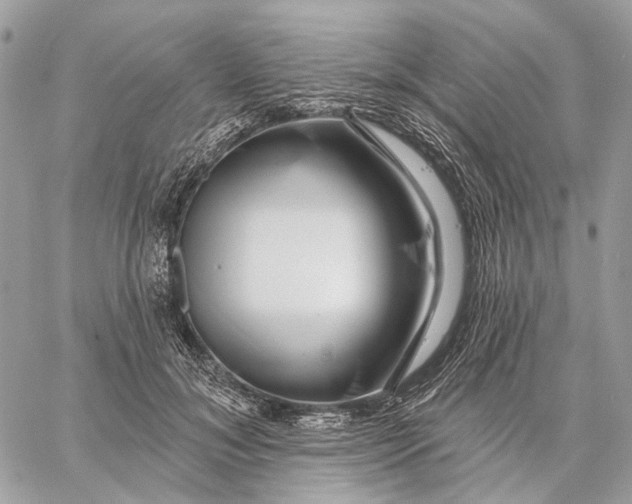 X0000058770700200510211723