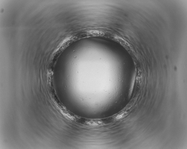 X0000058770712200510211723