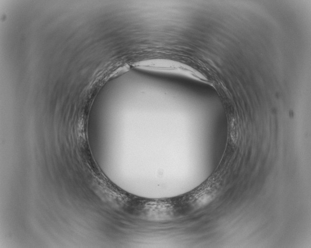 X0000058770714200510211723