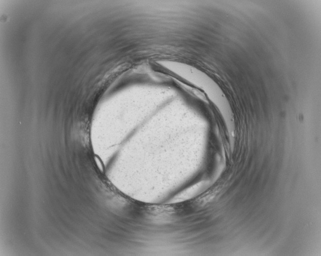 X0000058770719200510211723