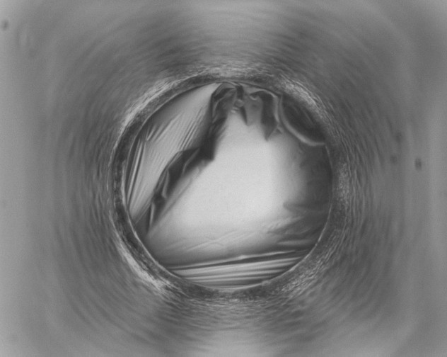 X0000058770730200510211722