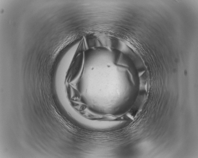 X0000058770735200510211722
