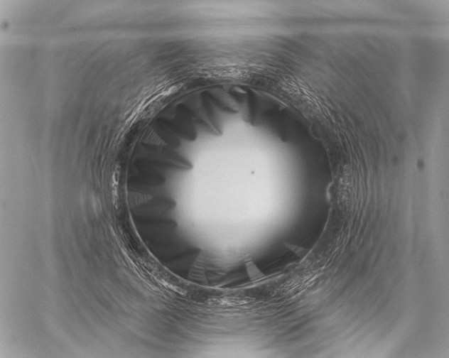 X0000058770739200510211722