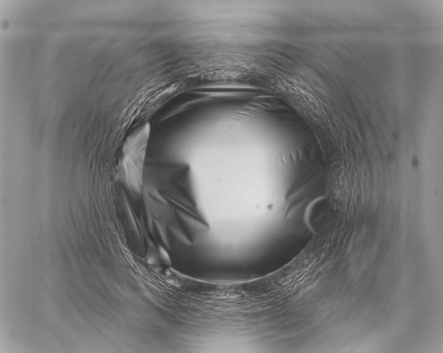 X0000058770743200510211722
