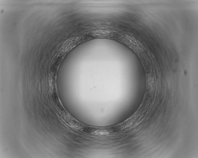 X0000058770749200510211722