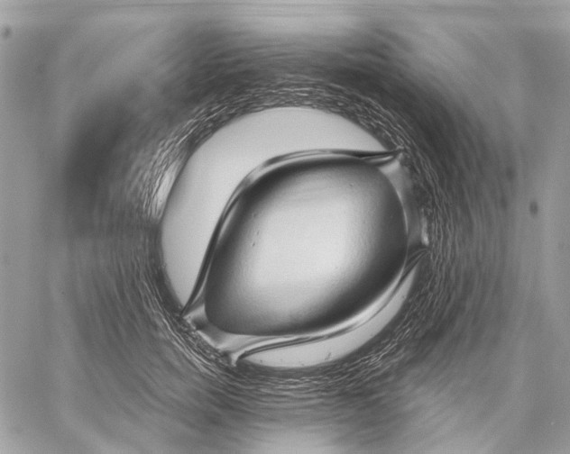 X0000058770750200510211722