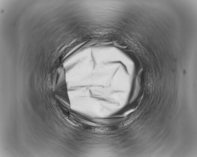 X0000058770758200510211723