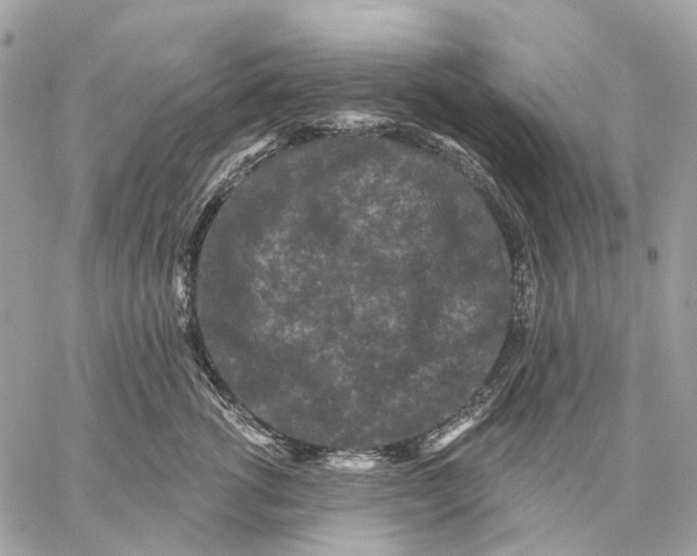 X0000058770762200510211723