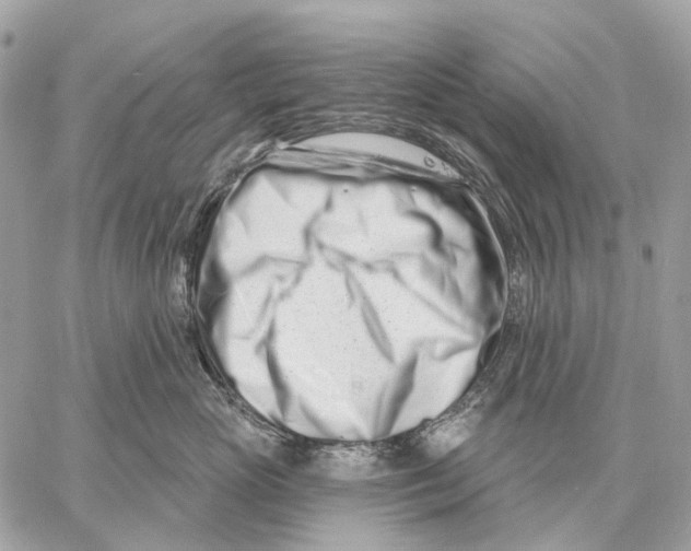 X0000058770765200510211723