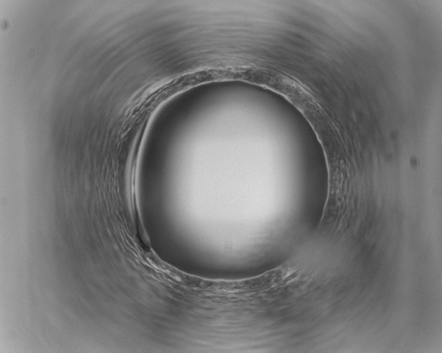 X0000058770773200510211722