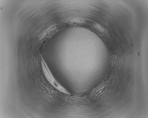 X0000058770774200510211722