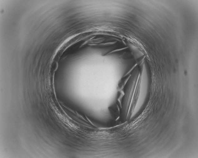 X0000058770784200510211722