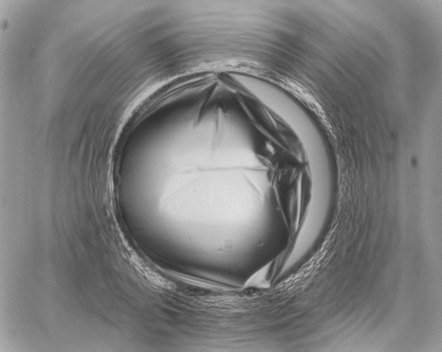 X0000058770792200510211722