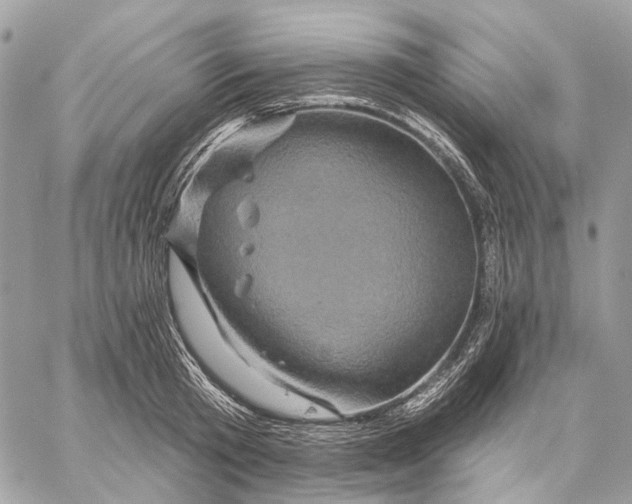 X0000058770801200510211721