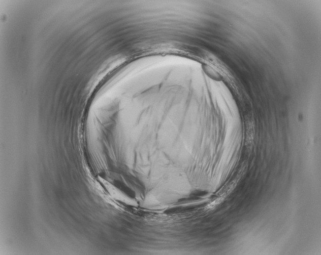 X0000058770806200510211721