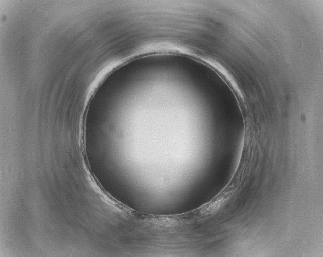X0000058770815200510211721