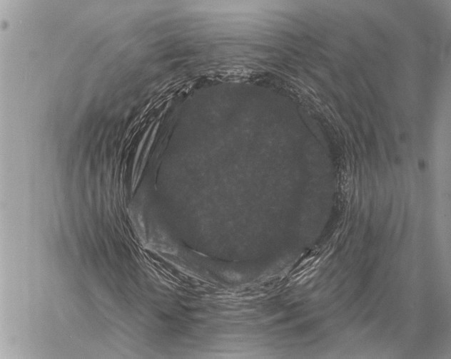 X0000058770818200510211720