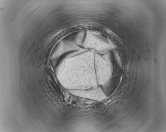 X0000058770822200510211720
