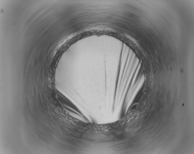 X0000058770823200510211720